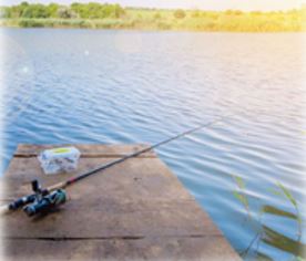 fishing pole sitting on a dock