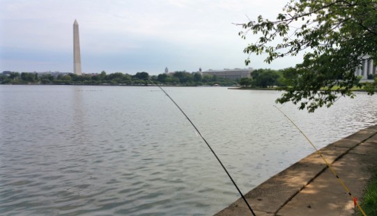 lake with washington monument in background