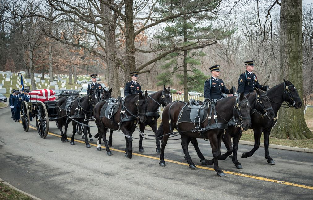 Service members on horses pulling a wagon with a casket on top through Arlington cemetery
