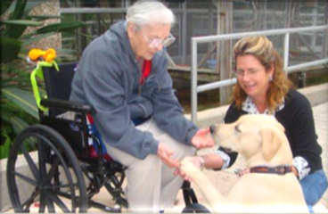 disabled vet in a wheelchair