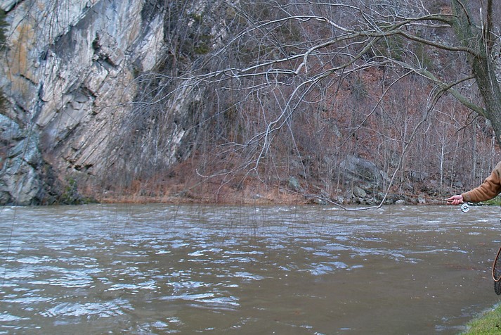 creek in the woods