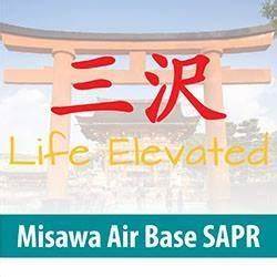 Misawa SAPR