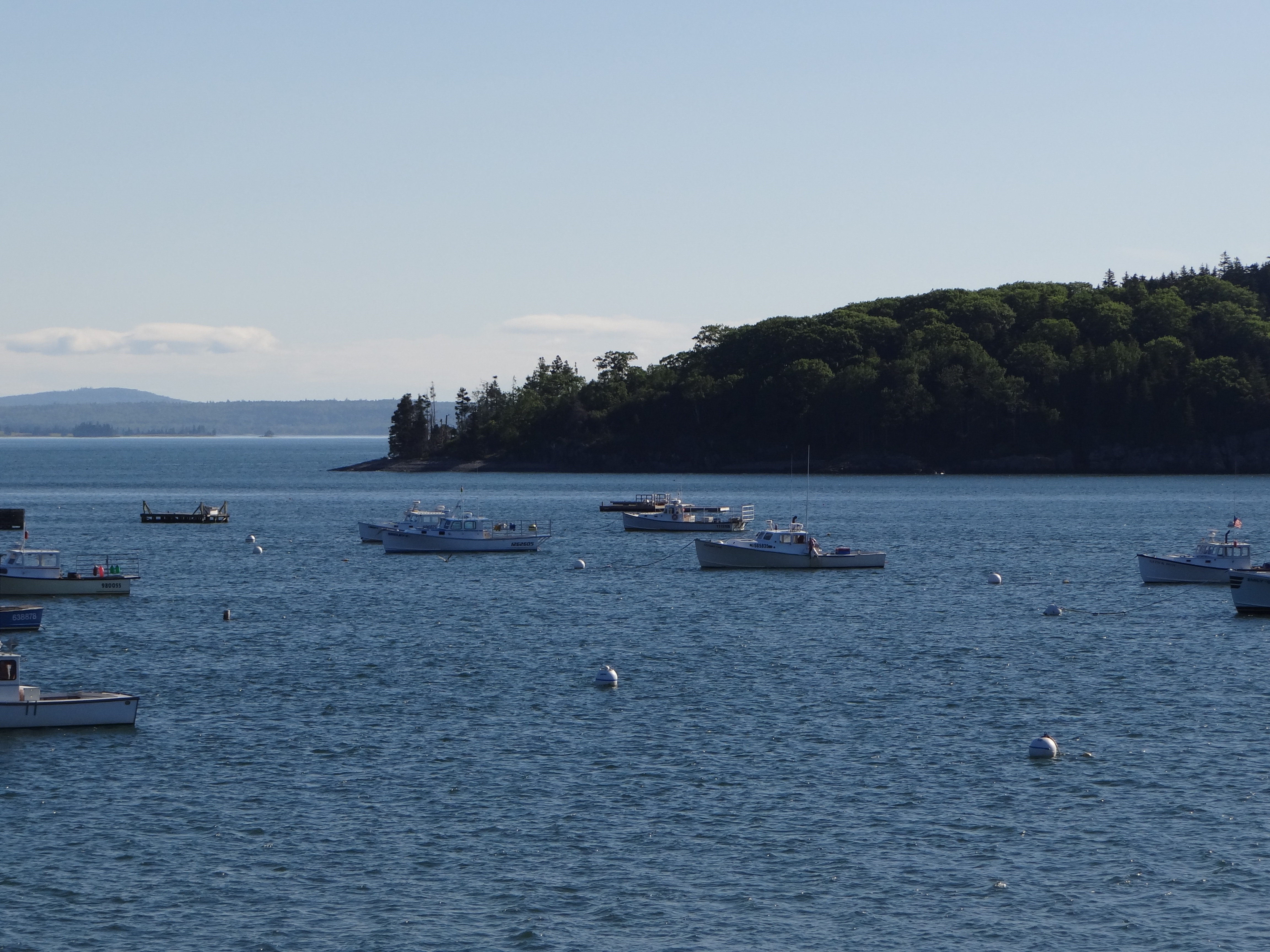 boats on a lake