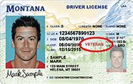 MT Drivers License Vet ID