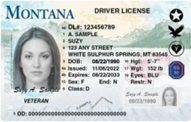 Drivers License