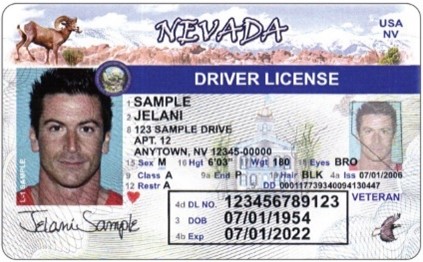 Nevada Drivers License with veteran designation
