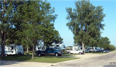 campers parked between trees