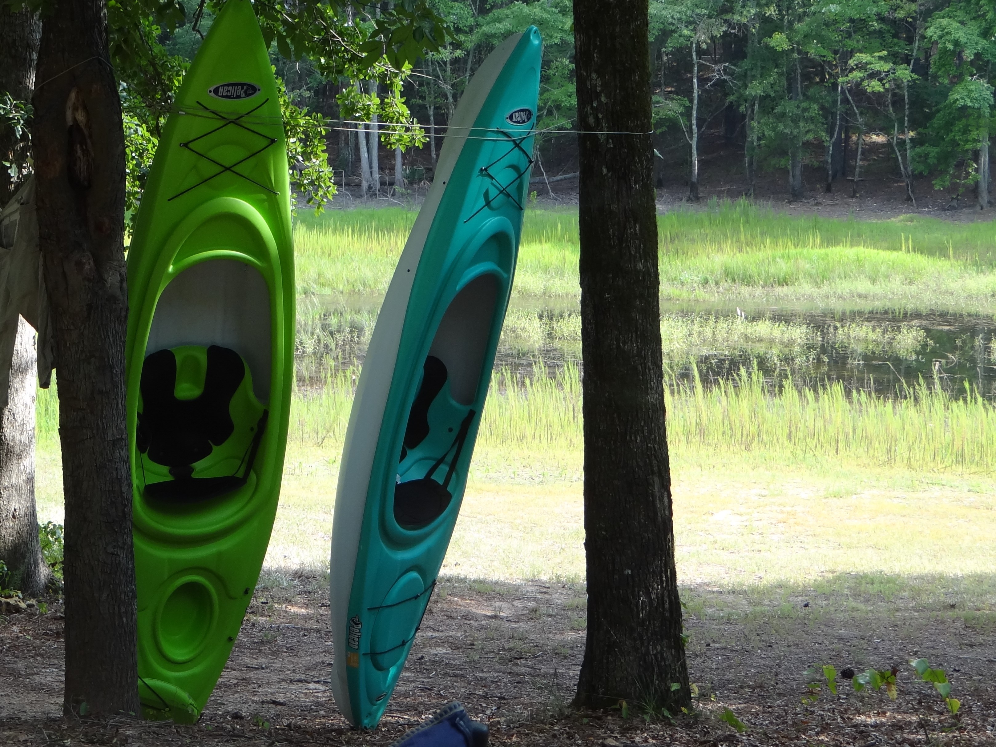 Kayaks propped on rope between 2 trees