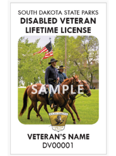 Disabled Veteran Lifetime License