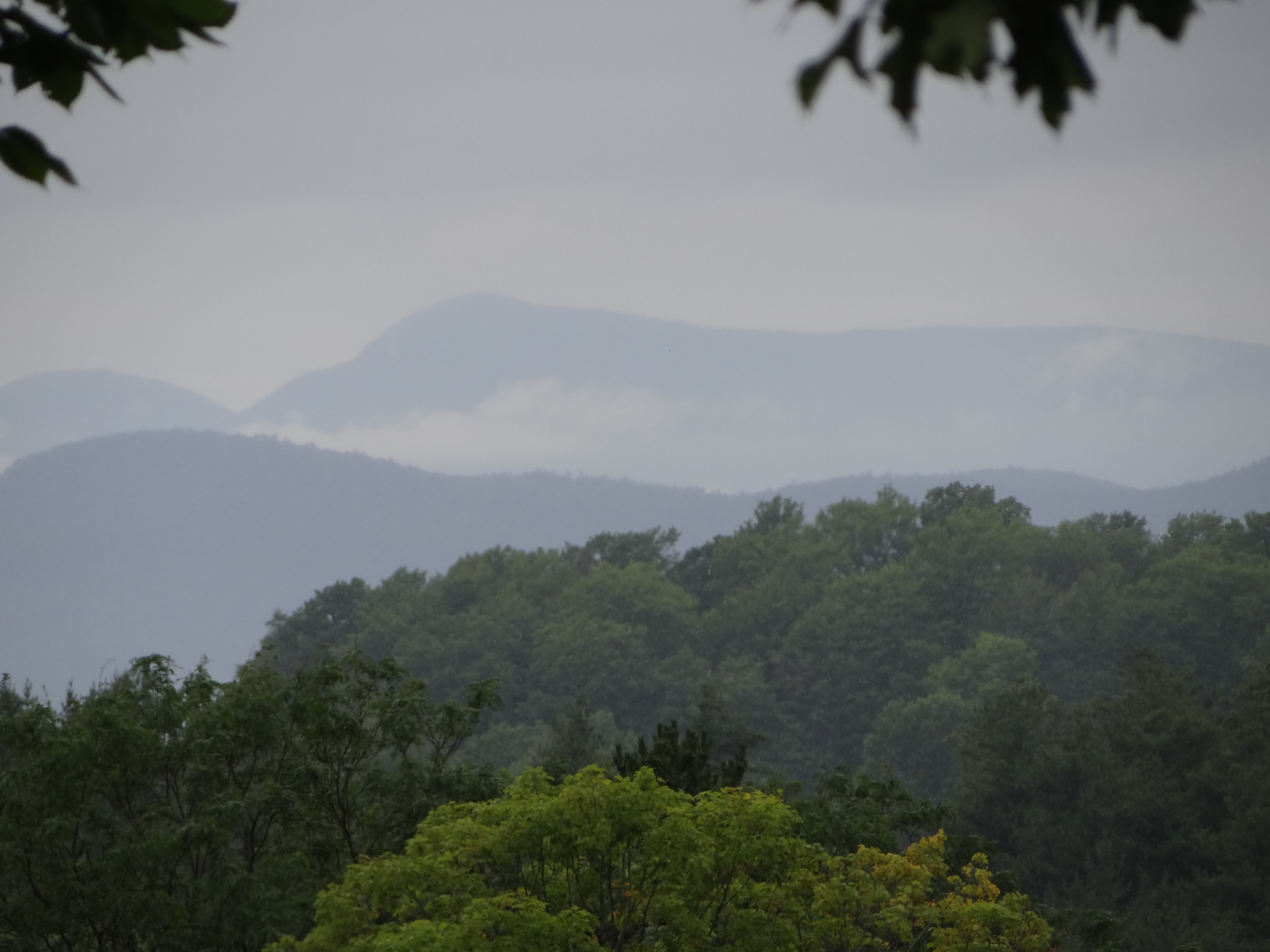 mountains in the fog